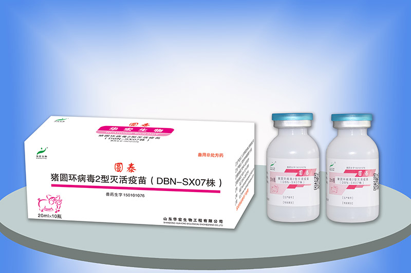 猪圆环病毒2型灭活疫苗（DBN-SX07株）
