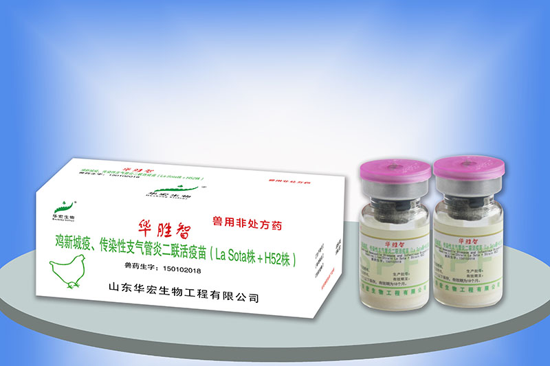 鸡新城疫、传染性支气管炎二联活疫苗（H52）